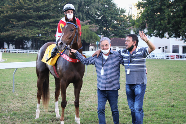 Treinador Dulcino Guignoni completa 3.000 mil vitórias