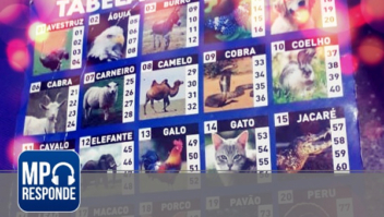 Perguntas da semana tratam de apostas em jogos de azar