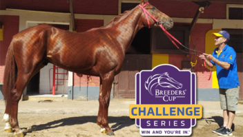 Breeders’ Cup será o próximo desafio de Nautilus, o vencedor do GP Brasil 2022