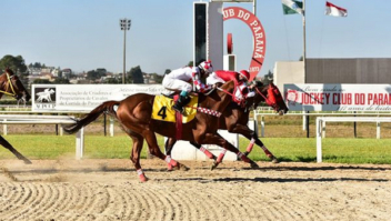 Hipódromo do Tarumã faz reunião de sete páreos nesta sexta-feira