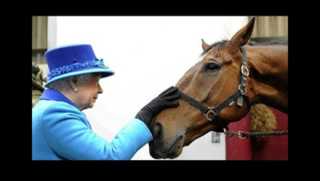 O adeus da Rainha Elizabeth: uma vida ao lado dos cavalos