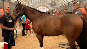 Vidal arruma briga com Hipódromo do Chile