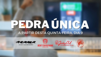 Pedra única: um grande passo numa caminhada que não pode parar 1