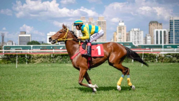 Jockey Club de São Paulo investe R$ 200 milhões para recuperar público