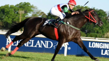 Doutor Sureño conquista a 11ª vitória do Brasil no GP Latinoamericano (G1)