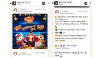 Brasileiros reclamam de serem colocados sem querer em grupos do 'jogo do tigrinho' no WhatsApp; veja como se proteger