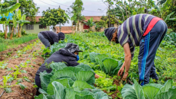 Projeto destina parte dos recursos de loterias para o crédito rural