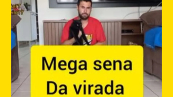 Mega da Virada 2024: gato vidente Milu faz nova previsão e crava dezenas da loteria 2