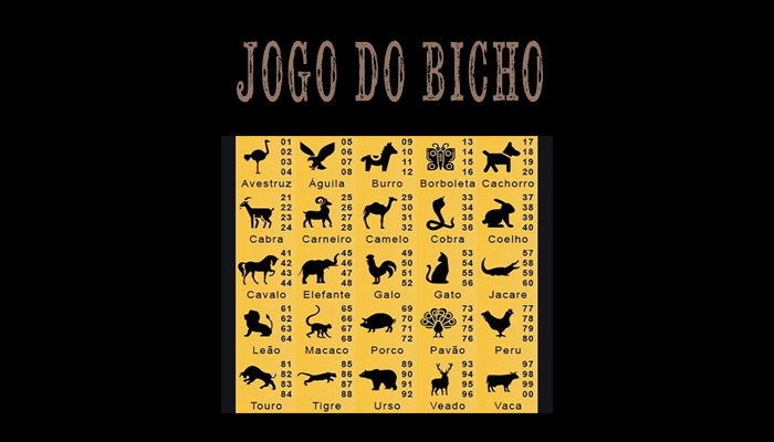 Jogo do bicho: como funciona, por que é ilegal e o que diz o projeto de legalização