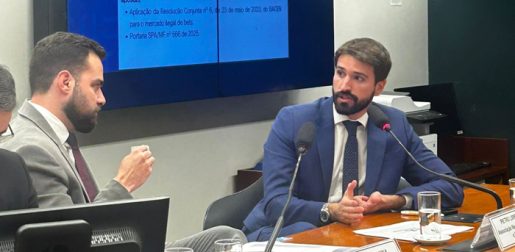 ANJL alerta sobre perdas bilionárias com mercado ilegal de apostas em audiência na Câmara 2