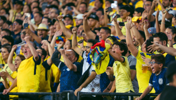 Apostas e futebol, tráfico de drogas ameaça esporte mais popular do Equador