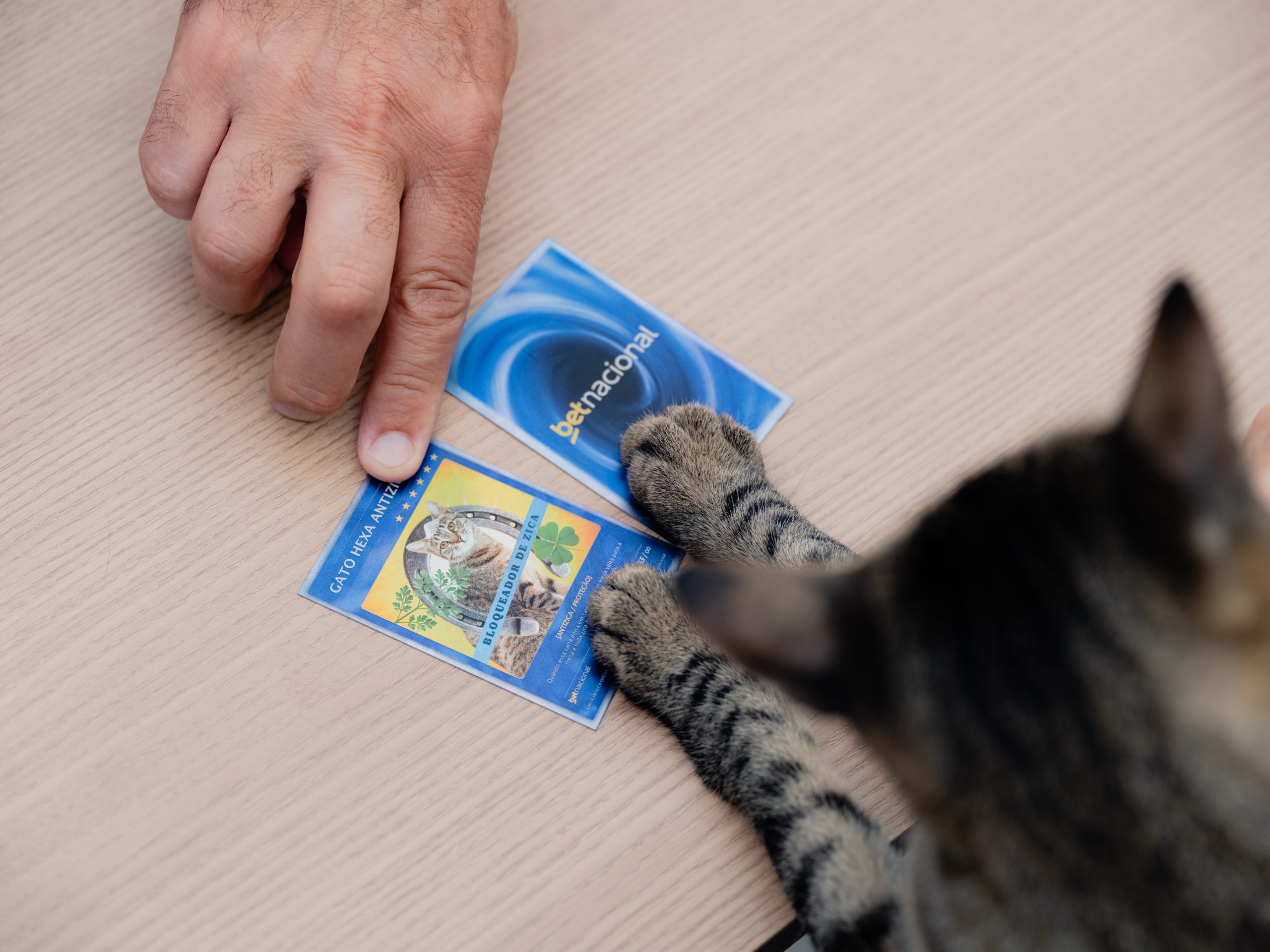 Betnacional e CazéTV cuidam de gatos para quebrar a zica pelo Hexa