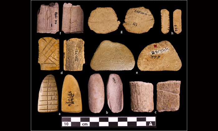 Nativos americanos jogavam com dados de osso há 12 mil anos, revela estudo