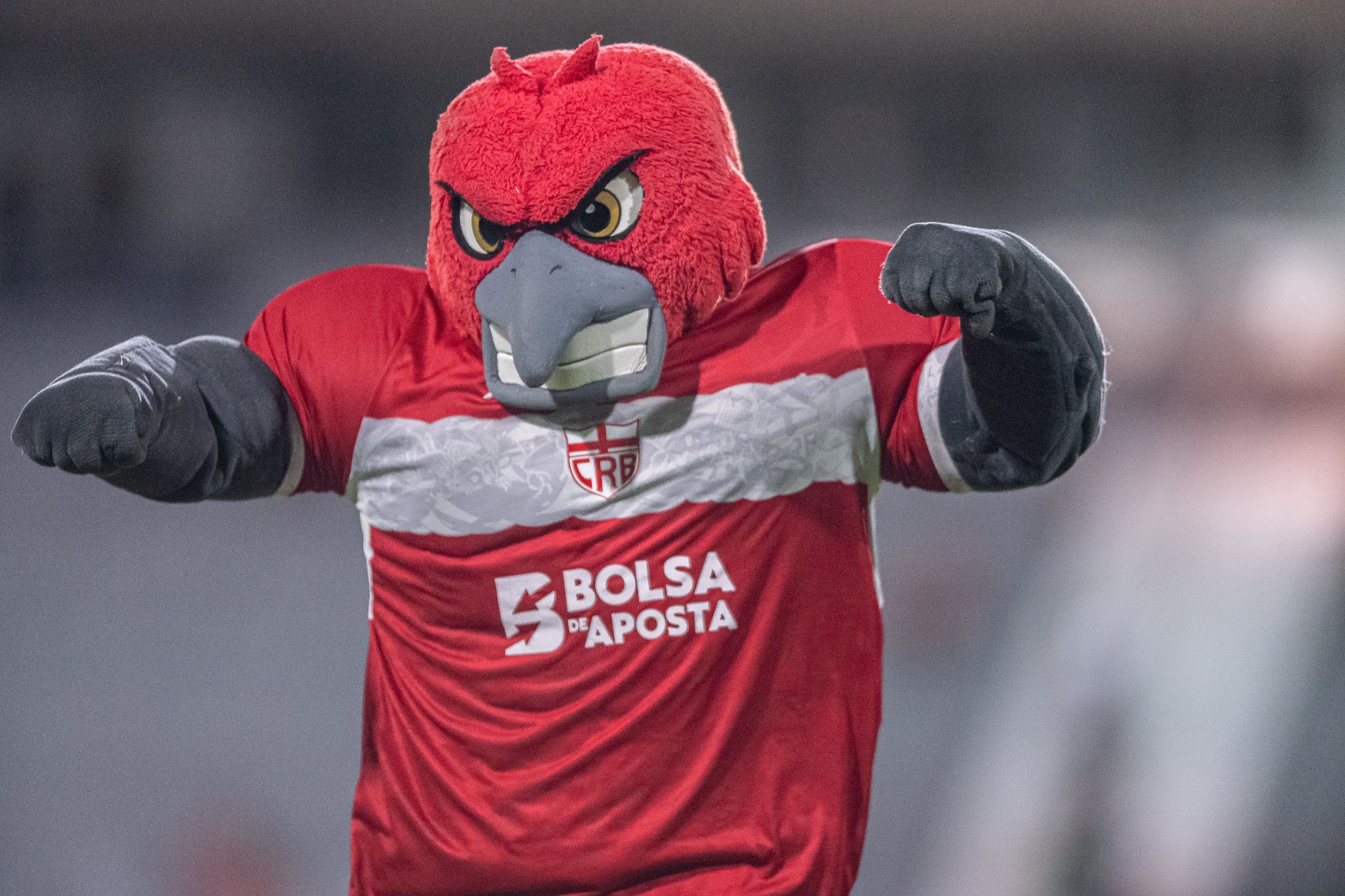 Bolsa de Aposta prepara ativações especiais para torcedores em jogo decisivo do CRB na Copa do Brasil