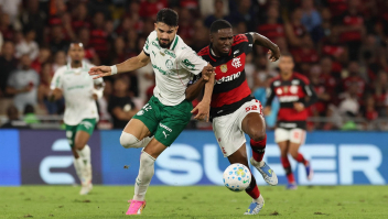 Retorno do Brasileirão: Palmeiras, Flamengo, São Paulo e Inter voltam como favoritos em seus jogos?