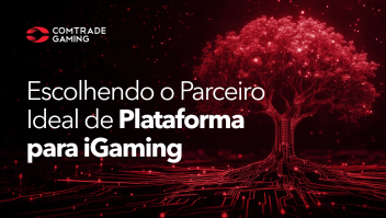 Escolhendo o Parceiro Ideal de Plataforma para iGaming 1
